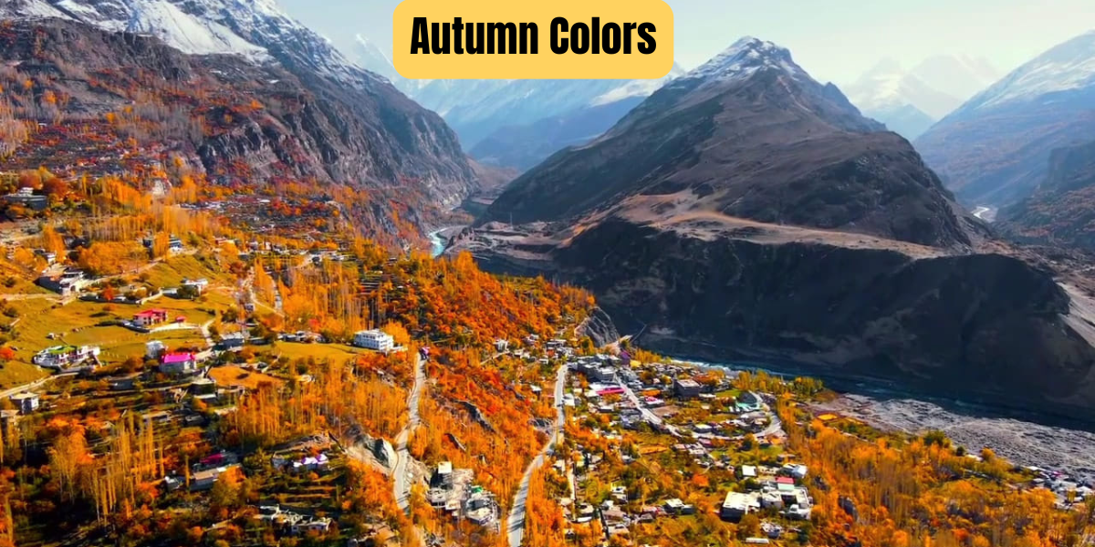 Beautiful Autumn Tree Colors in Gilgit Baltistan