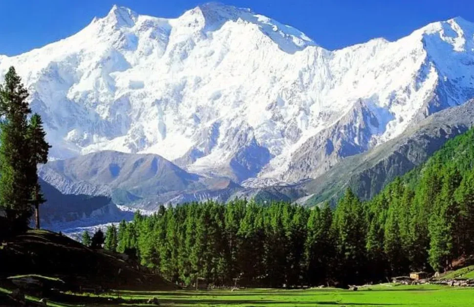 A most beautiful green place with snow-capped peak in Gigit Baltistan