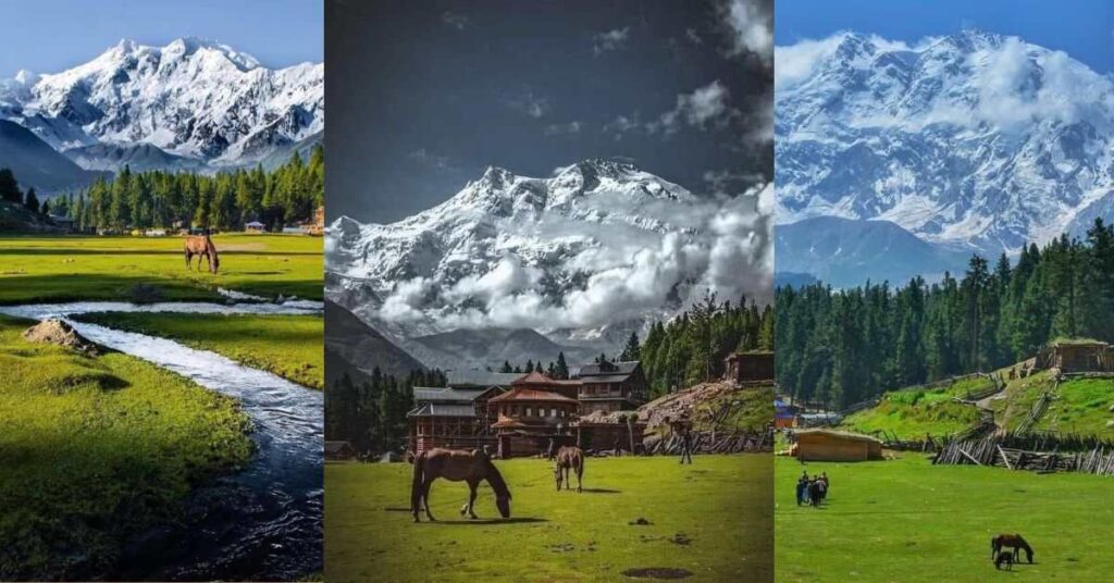 Fairy Meadows and Nanga Parbat adventure tour scenic views