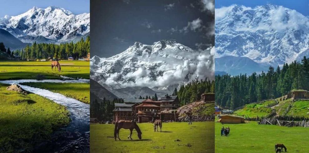 Fairy Meadows and Nanga Parbat adventure tour scenic views